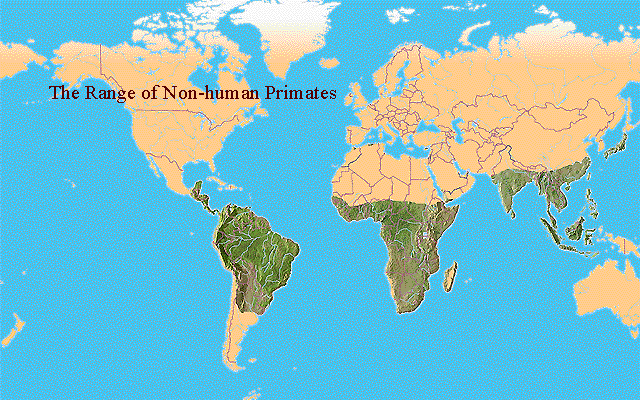 map.GIF (72333 bytes)